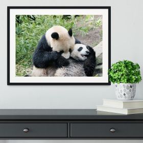 Panda bear and her cub Framed Print (Color: Natural/With White Edging, size: 36" x 24" / 90cm x 60cm (approx))