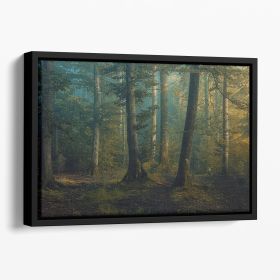 October Colors Floating Framed Canvas (Color: Black, size: 16" x 12" / 42cm x 30cm (approx))