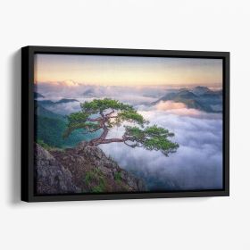 On The Rock Floating Framed Canvas (Color: Black, size: 12" x 8" / 30cm x 20cm (approx))