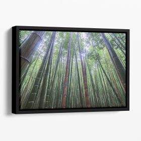 Tall Floating Framed Canvas (Color: Black, size: 40" x 26" / 100cm x 65cm (approx))