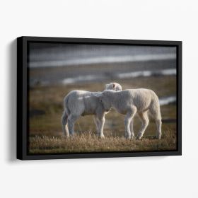 Lambs Floating Framed Canvas (Color: Black, size: 36" x 24" / 90cm x 60cm (approx))