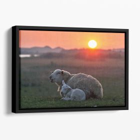 Sleep well Sheep Floating Framed Canvas (Color: Black, size: 16" x 12" / 42cm x 30cm (approx))